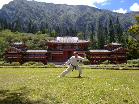 Byodo-in japanese Temple ,training